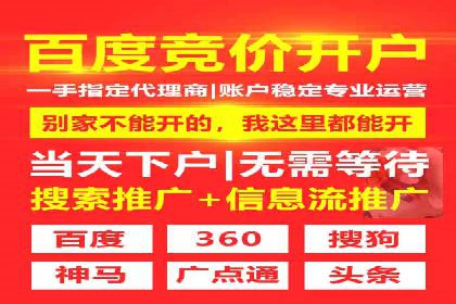 SEM代理服务：助力企业精准营销案例解析